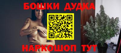 шишки Аргун