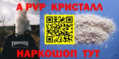 шишки Аргун