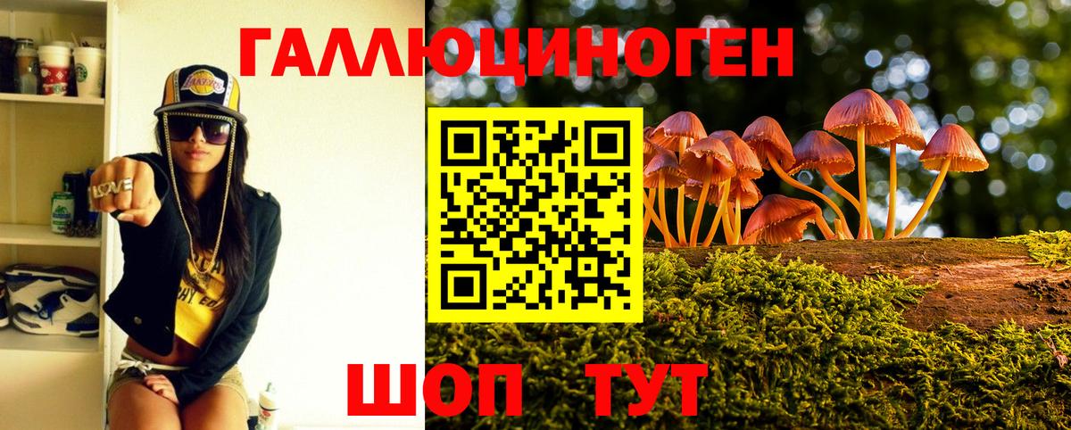 Псилоцибиновые грибы Psilocybine cubensis Верхняя Пышма