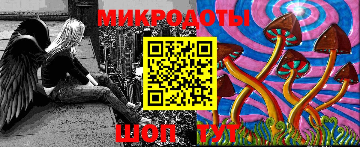 Псилоцибиновые грибы Psilocybe  Вход с VPN  Верхняя Пышма 